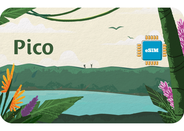 Pico 2 GB sim