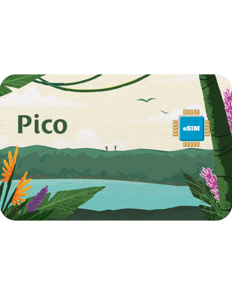 Pico 5 GB sim