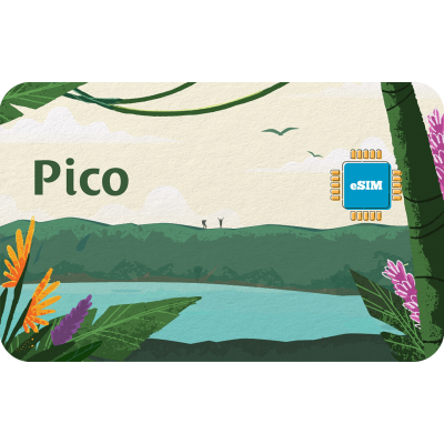 Pico 10 GB sim