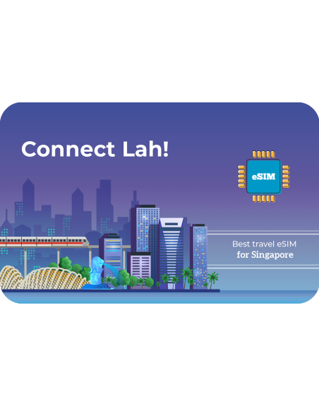 Connect 2 GB sim