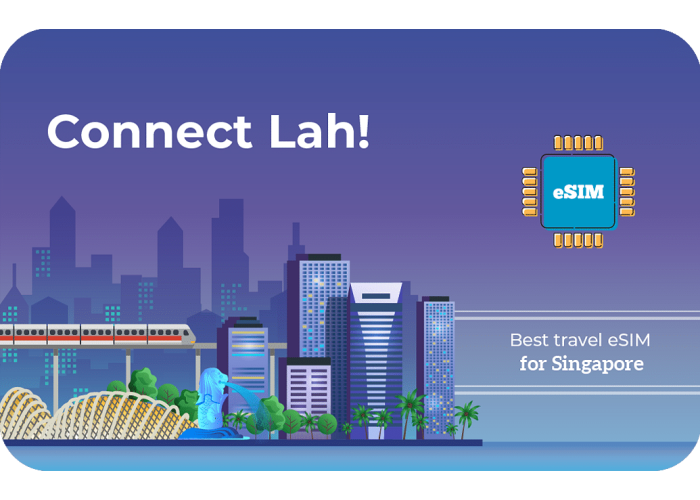 Connect 1 GB sim