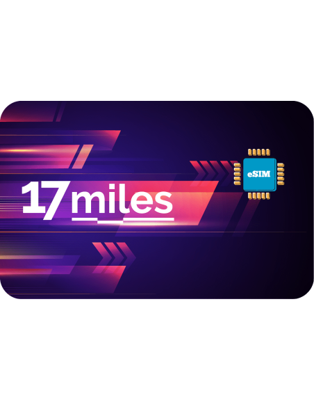 17 1 GB sim