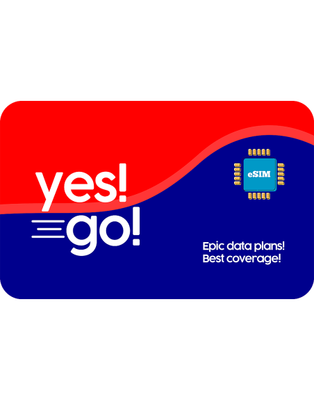 Yes 2 GB sim