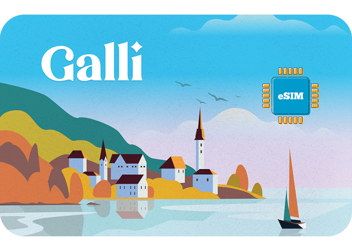 Viennetz 2 GB sim