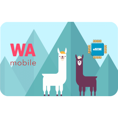 Wa 2 GB sim