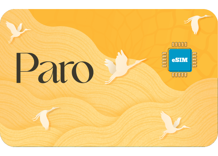 Paro 1 GB sim