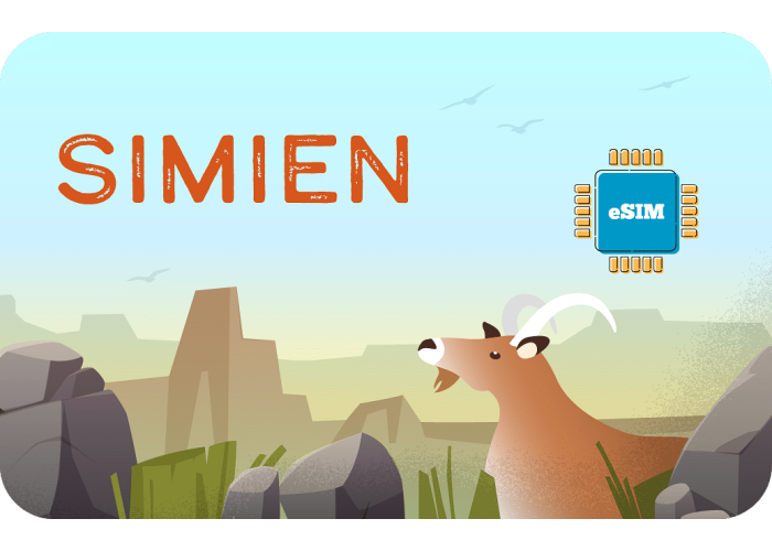 Simien 3 GB sim
