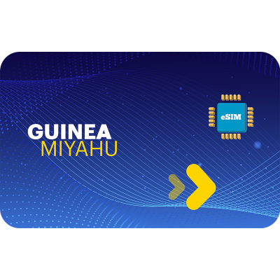 Guinea 1 GB sim