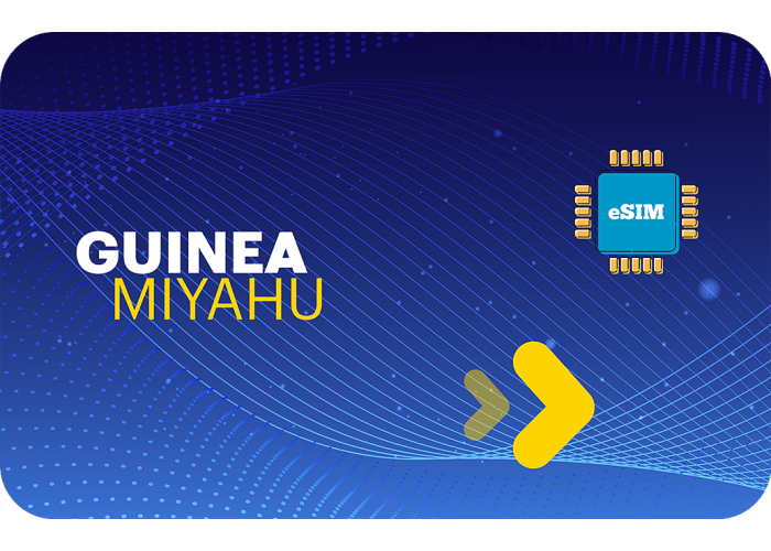 Guinea 1 GB sim