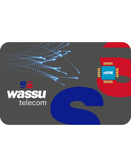 Wassu 1 GB sim