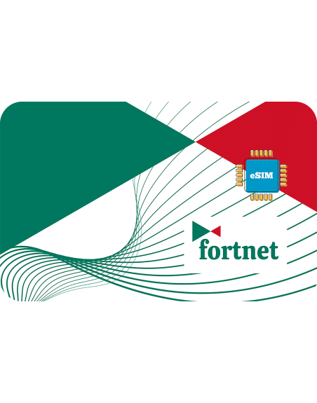 Fortnet 2 GB sim