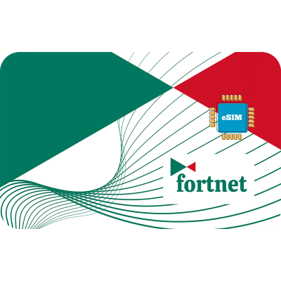 Fortnet 3 GB sim