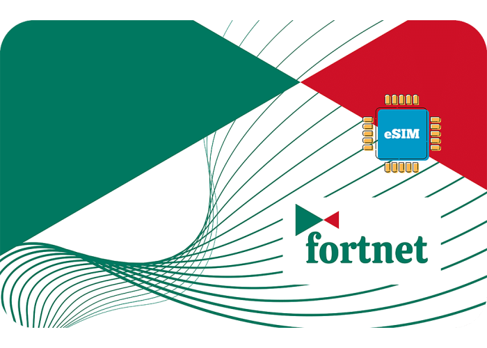 Fortnet 5 GB sim
