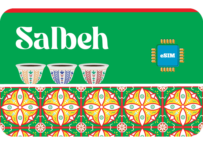 Salbeh 3 GB sim