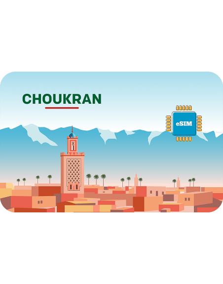 Choukran 2 GB sim