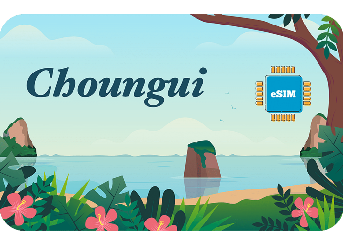 Choungui 3 GB sim