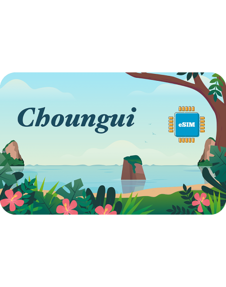 Choungui 10 GB sim