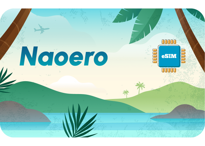 Naoero 1 GB sim